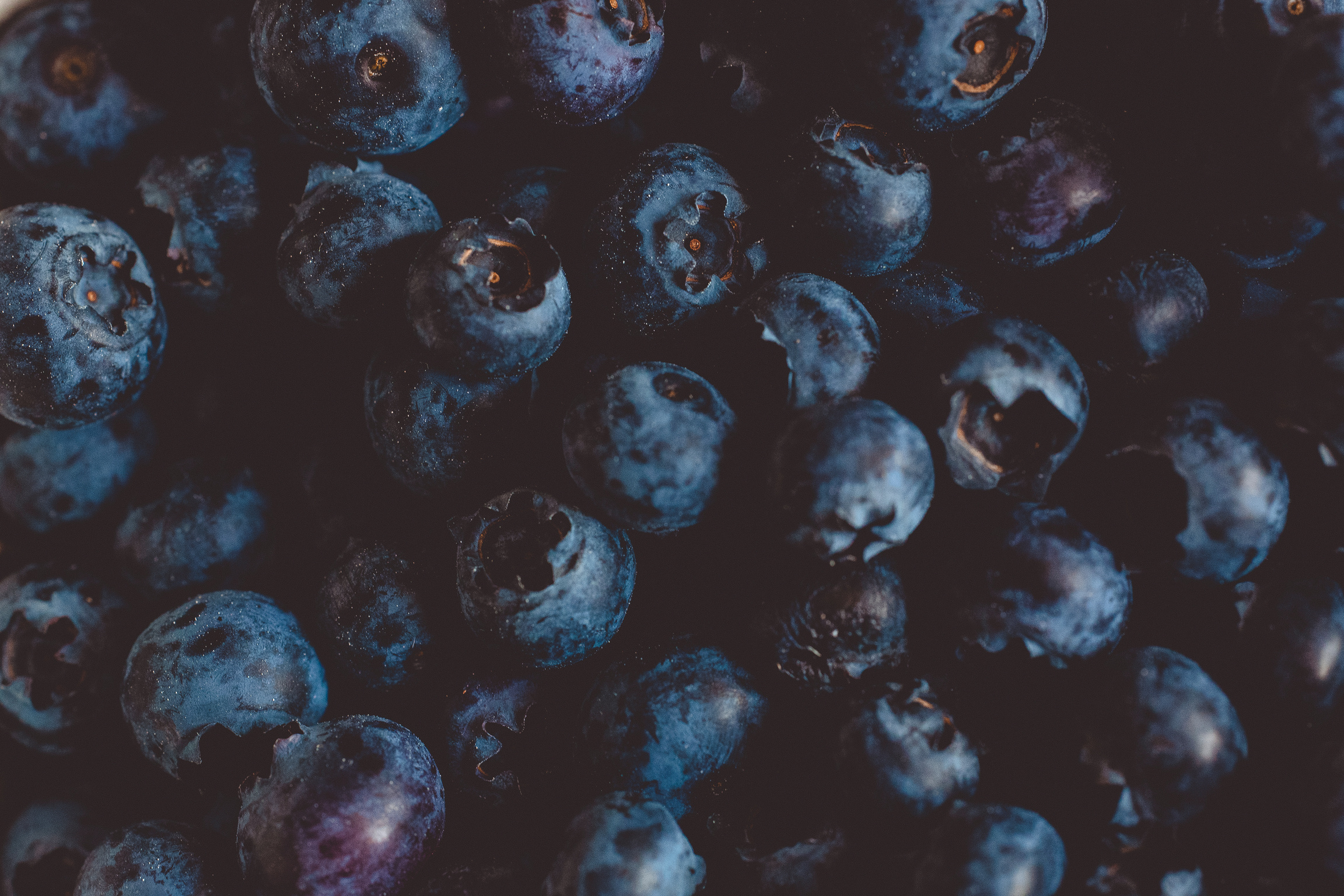 Blueberry Fruits Photography